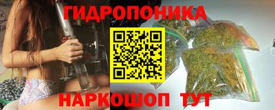 гидропоника Дубна