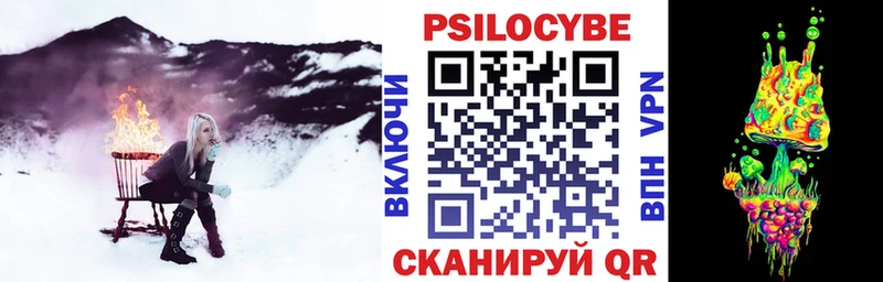 Купить закладки  Новочеркасск  Галлюциногенные грибы мухоморы 